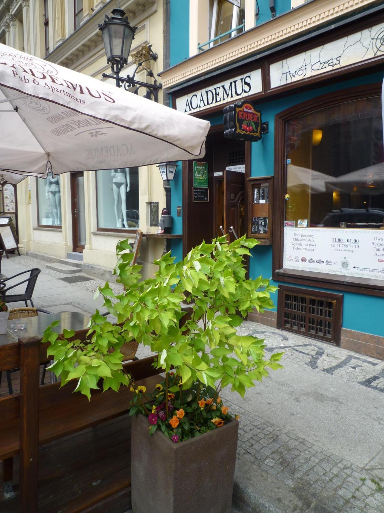 Academus Pub &